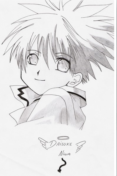 Frontcover Niwa