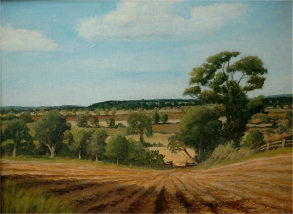 Late Summer Sun (SOLD)