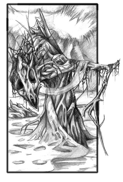 Swamp