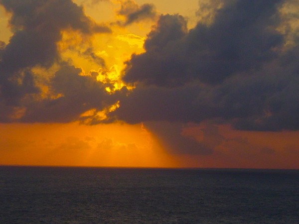 Sun Drenched