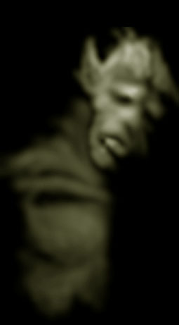 From the shadows