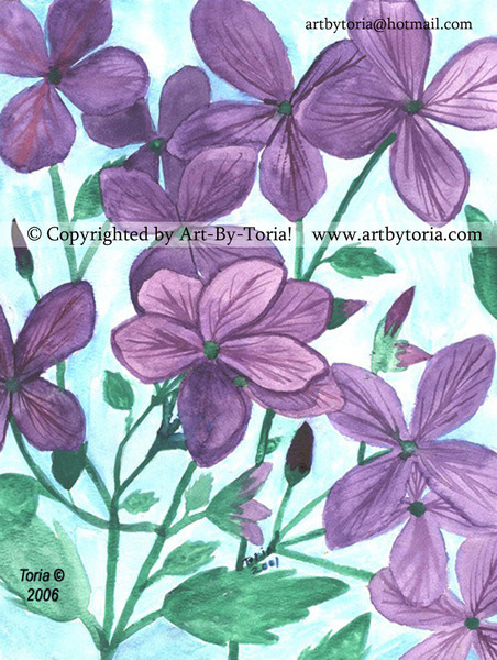 Wild Geraniums