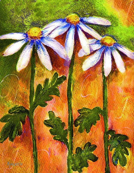 Daisies