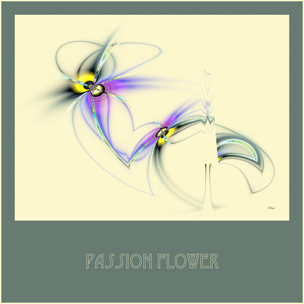 Passion Flower