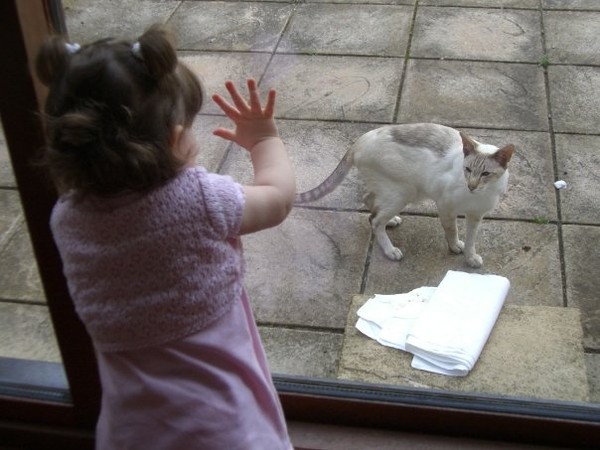 I thought i saw a pussie cat