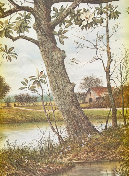 Springtime in Mississippi