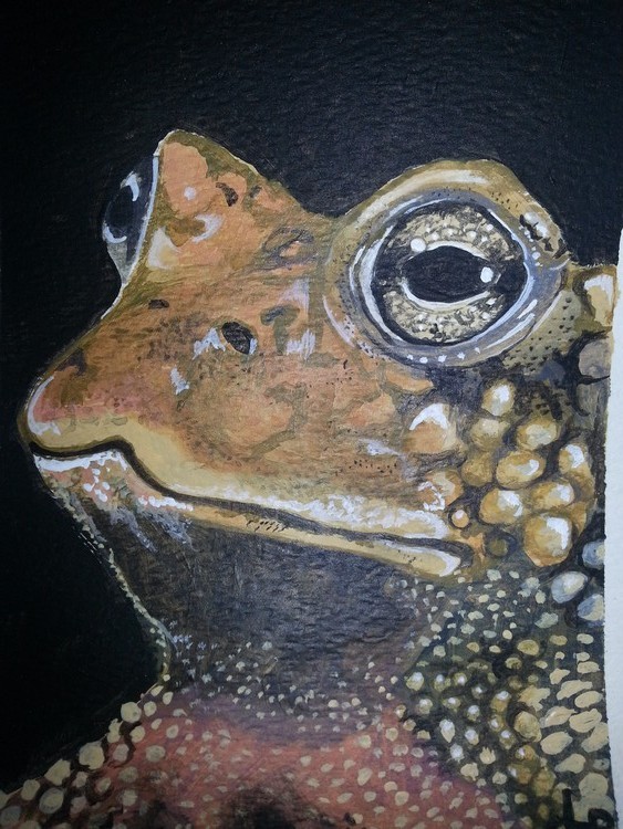 The toads portrait