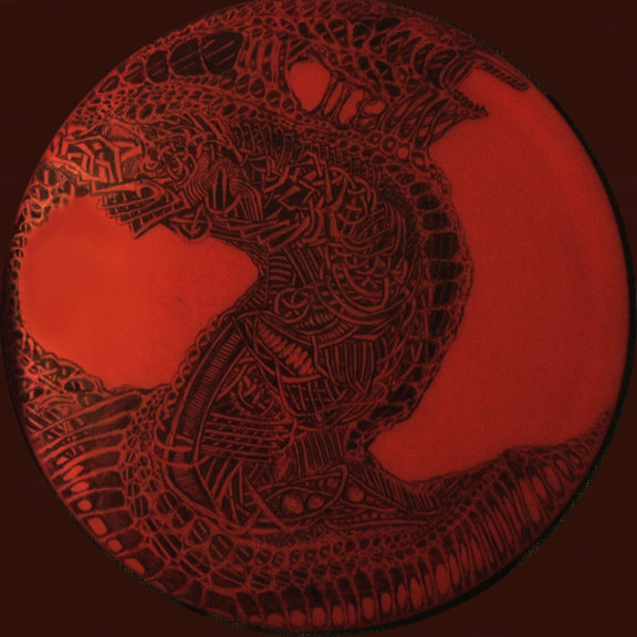 Red dragon