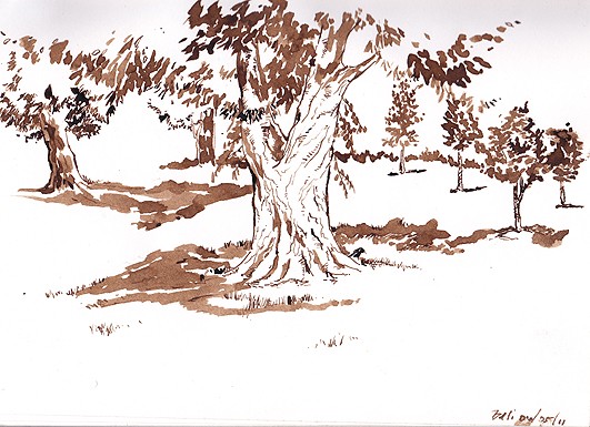 Tree1C