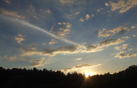 SKY ART 1