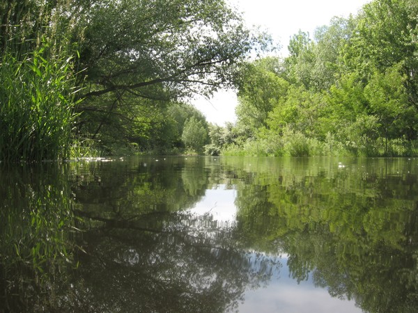 Calm green river
