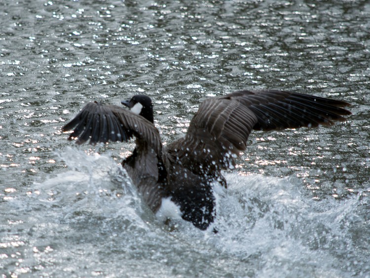 Take Off!