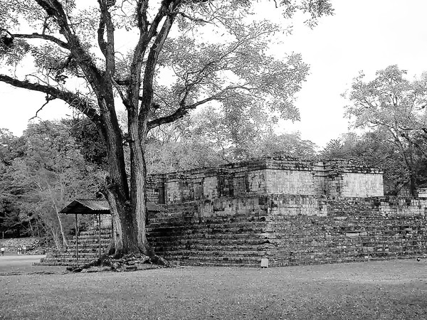 Ancient Mayan Building at Ruinas De Copan