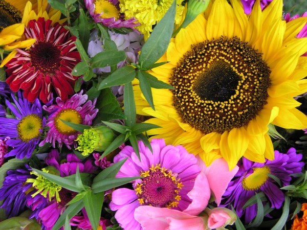 Flower Power