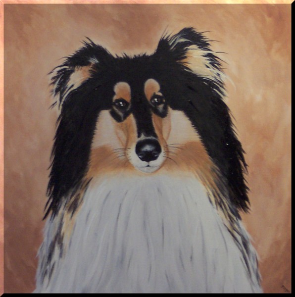 Rocky V - Rough Collie