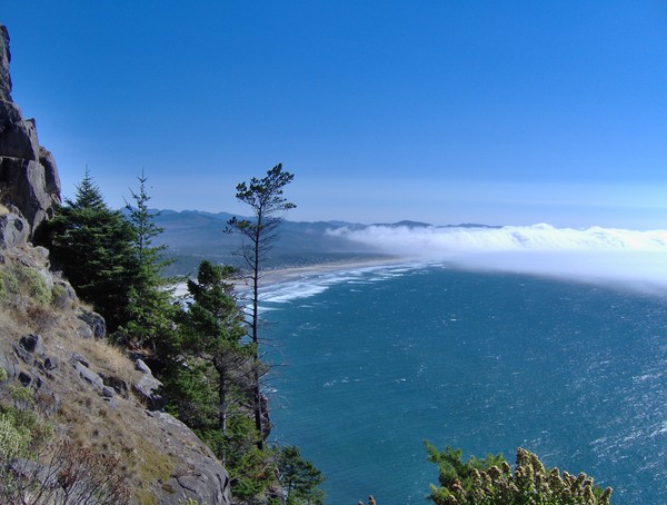Fog Floats In