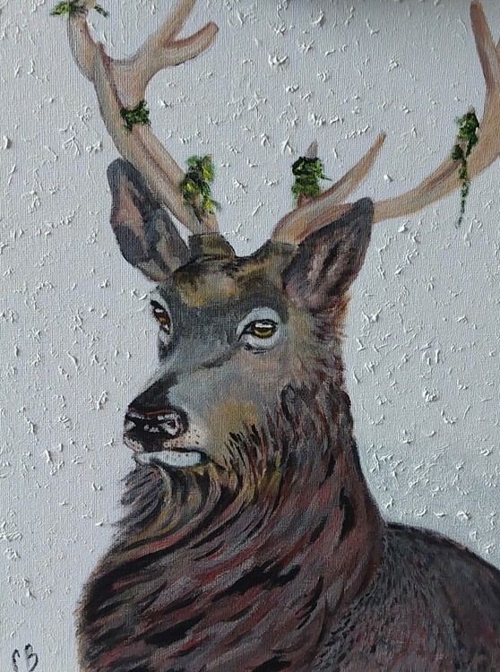 Stag