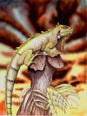 Sunking
