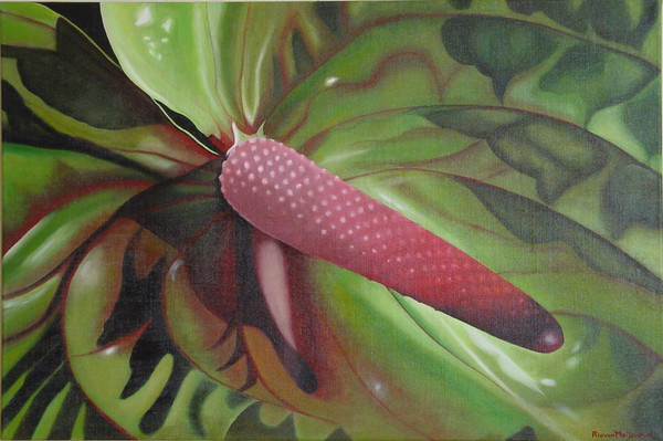 anthurium