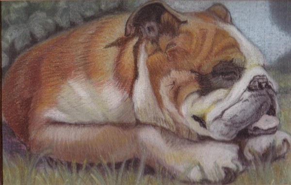 Let sleeping dogs........
