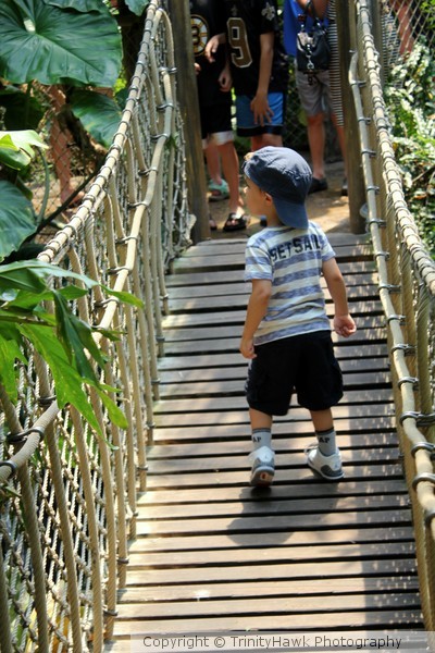 Seeking Adventures