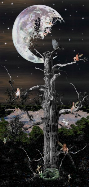 The Lady in the Moon 3