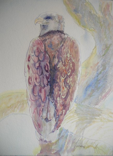 The Bald Eagle 
