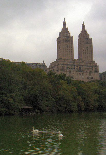 Castle and Swans