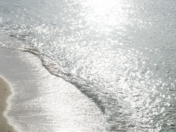 Silver Waves Beach2