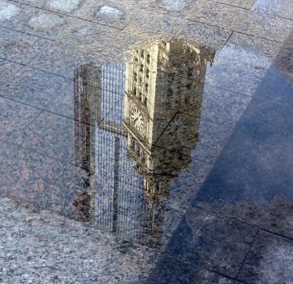 reflection