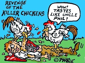 killer chickens