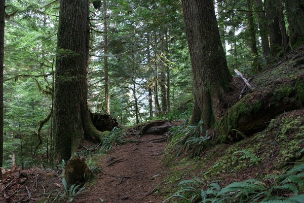 The Trail to Ranger Falls
