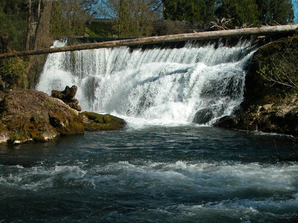 Evergreen Waterfall