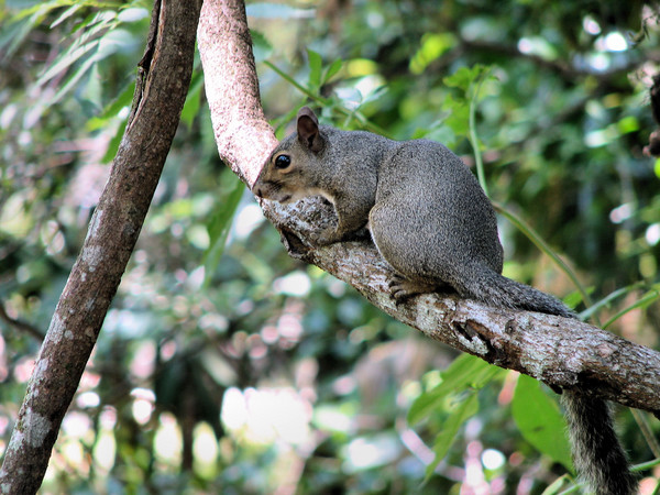 hanging around
