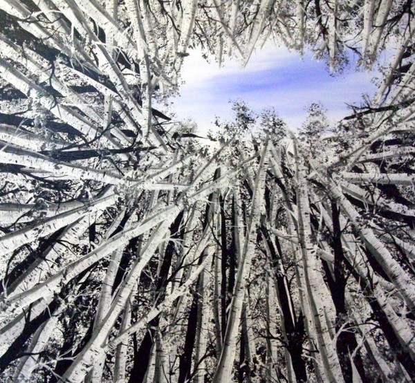 Beneath The Birches ll