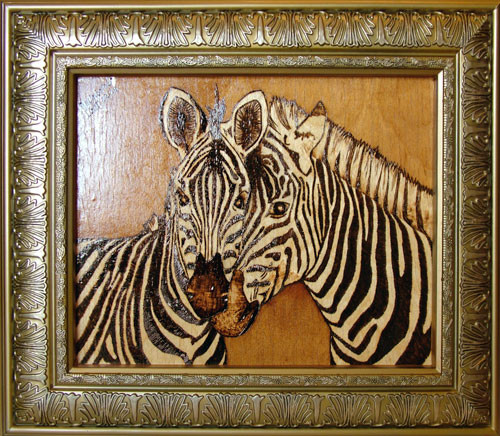 Zebra(1)