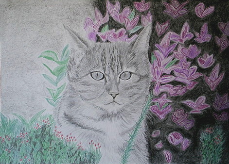 Cat and Flowers