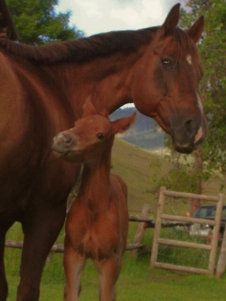 Scooter and BabyGirl