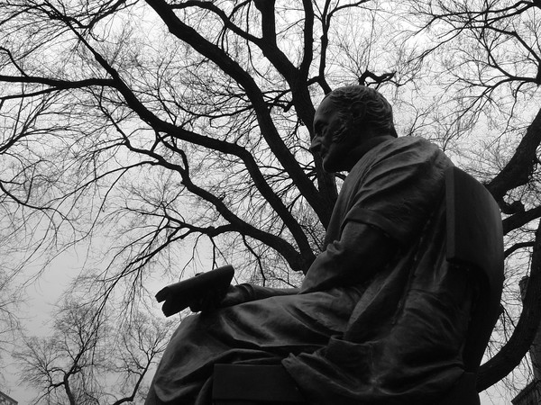 Solid Contemplation