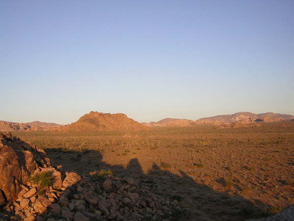 Late Day Shadow