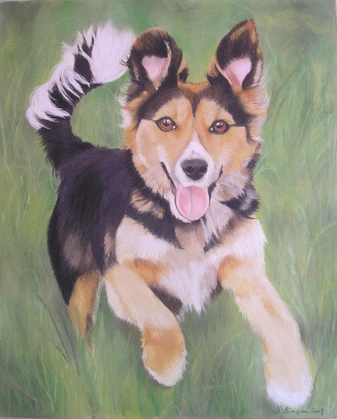 Rosie running.