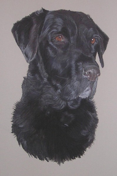 Jake