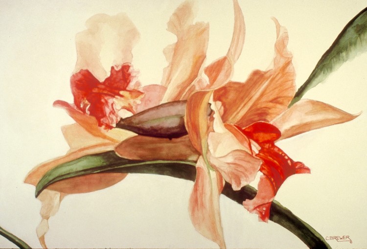 Big Flower