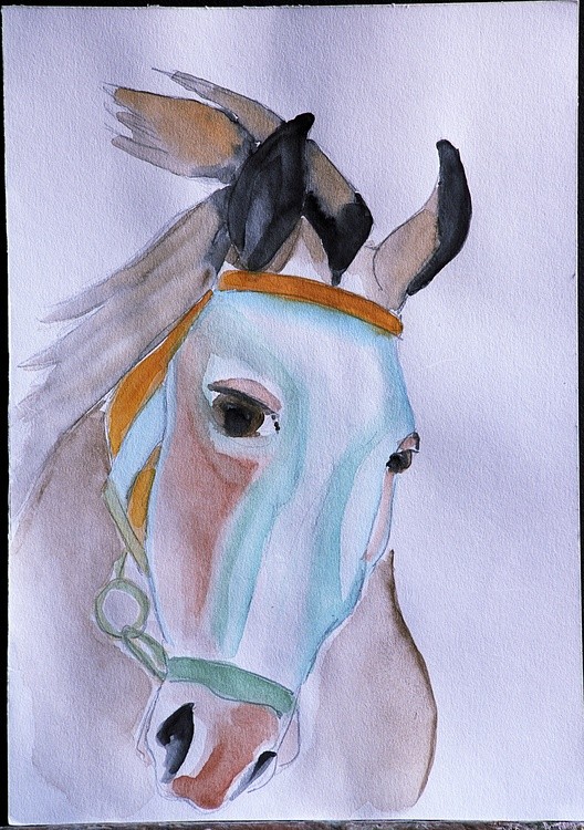 Horse