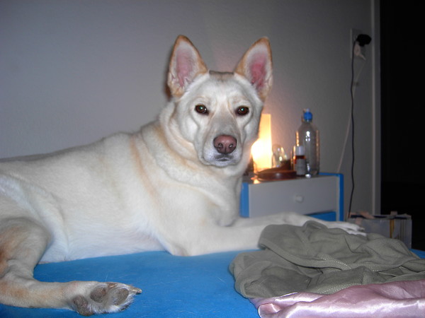 Shyra