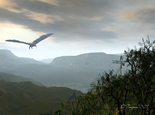 Flying High