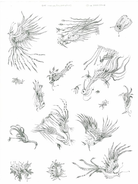 Fairie Birds