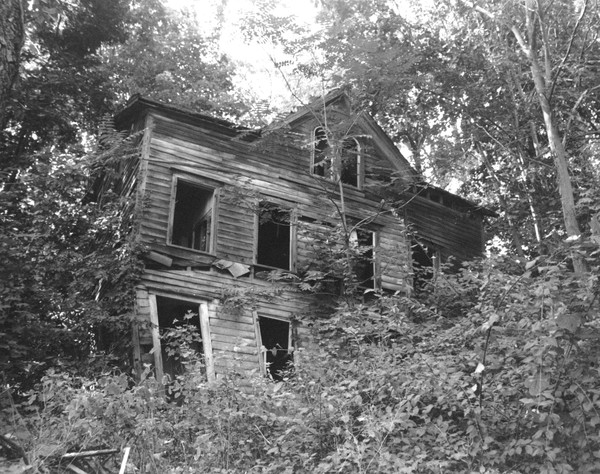 House in the Woods