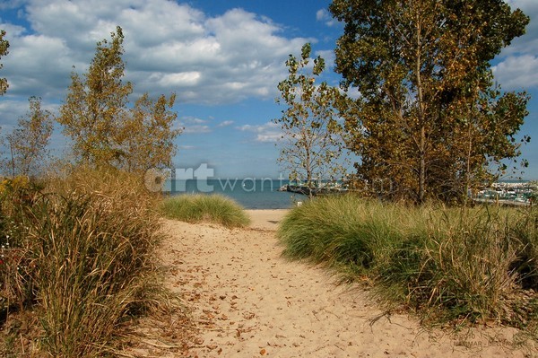 Autumn Beach Path Photo