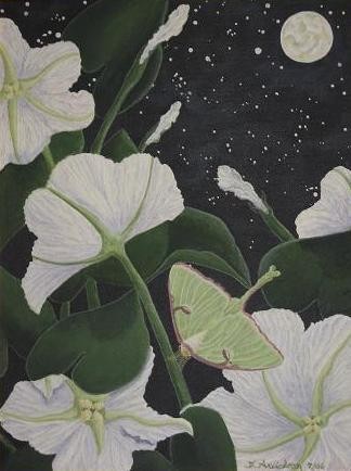 Three Lunas